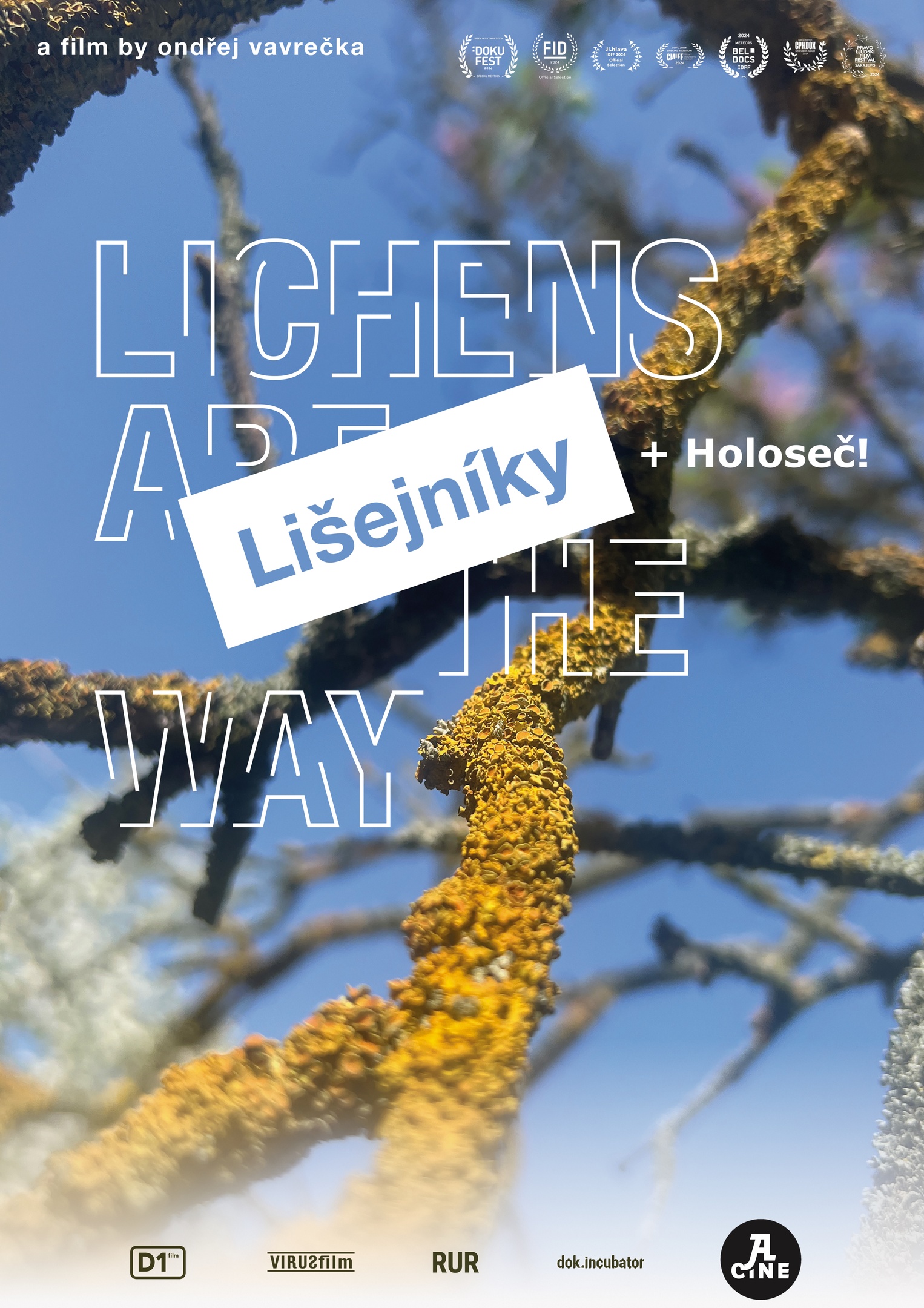 Lišejníky